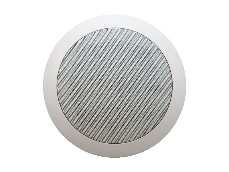 Best ceiling speakers store australia